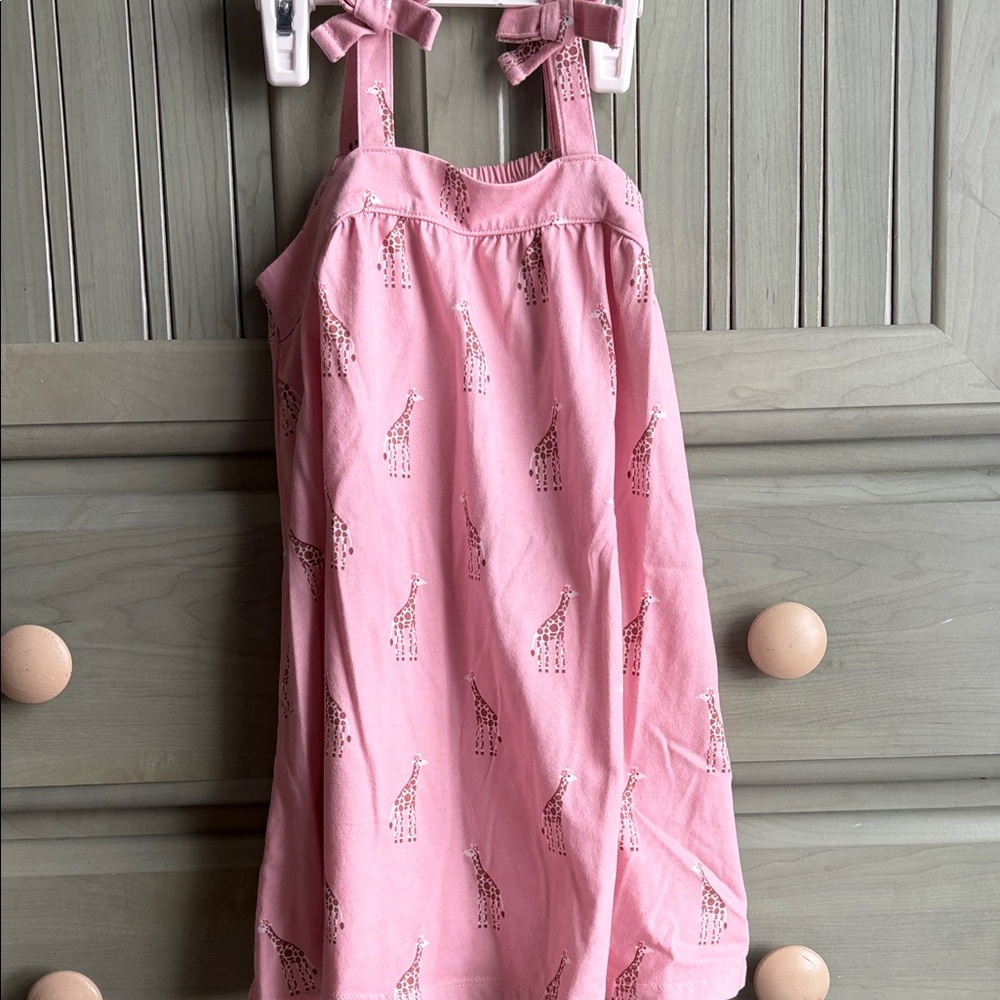 Pink Giraffe Print 4T Dress